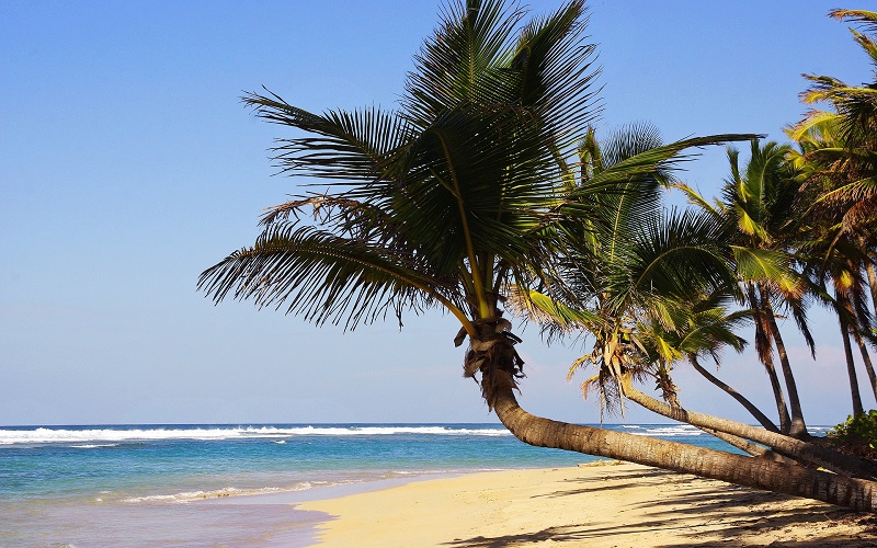 O que fazer em Punta Cana?